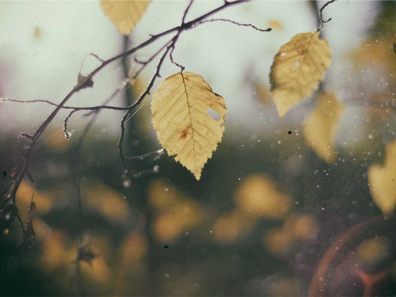 熵增定律<br>qyi4ujty.cn 走向无序终点